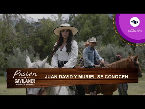 Juan David descubre que Muriel, la amiga de Andrés, es hija de Rosario - Pasión de Gavilanes | T2