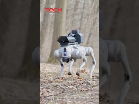 Conoce al #thermonator el polémico perro robot #cyborg #tech #newstatus