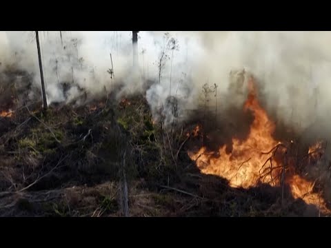 Agriculture Minister Urges Citizens To Refrain From Starting Bush Fires