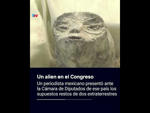 UN ALIEN EN EL CONGRESO: un periodista mexicano presentó los supuestos restos de dos extraterrestres