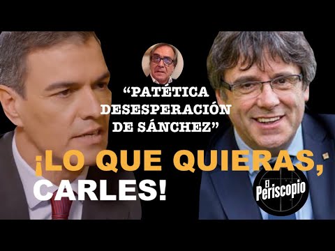 ¡DESESPERACIO?N EXTREMA DE SA?NCHEZ: DISPUESTO A DARLE TODO A PUIGDEMONT PARA SEGUIR!