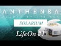 Anth?nea - LifeOn #1 - Solarium