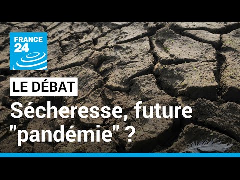 LE DEBAT - Sécheresse, prochaine pandémie ? La COP15 contre la désertification s'ouvre à Abidjan