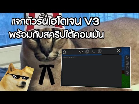 แจกตัวรันไฮโดรเจนV3ล่าสุด