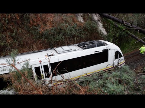 Un tren choca contra dos árboles durante su trayecto entre Ferroll y Oviedo