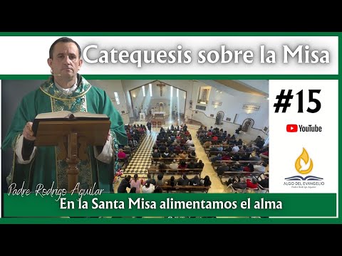 Catequesis sobre la Misa #15 - En la Santa Misa alimentamos nuestra alma - Padre Rodrigo Aguilar