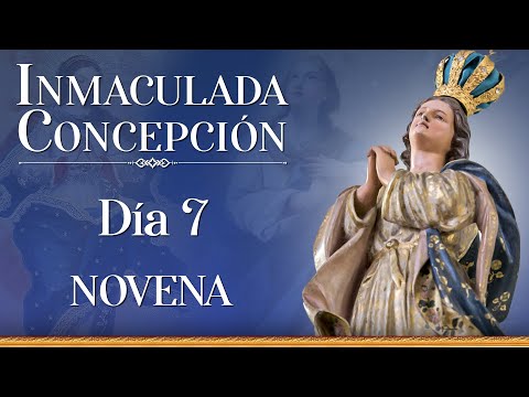 Novena a la Inmaculada Concepción de la Virgen  Día 7 #novena