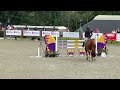 Eventing Pferd (Junioren) Eventing paard