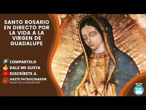 ¡Rezamos los Misterios Luminosos! ¡Un Rosario en Vivo para la Virgen de Guadalupe! 16 de marzo