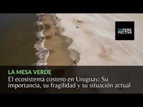 El ecosistema costero en Uruguay, su importancia, su fragilidad y su situación actual