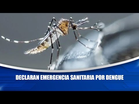 Declaran emergencia sanitaria por dengue