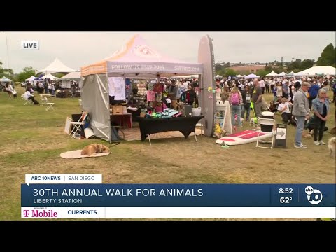 Annual Walk for Animals to support overflowing shelters