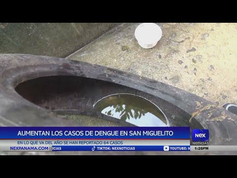 Aumentan los casos de dengue en San Miguelito en lo que va del an?o