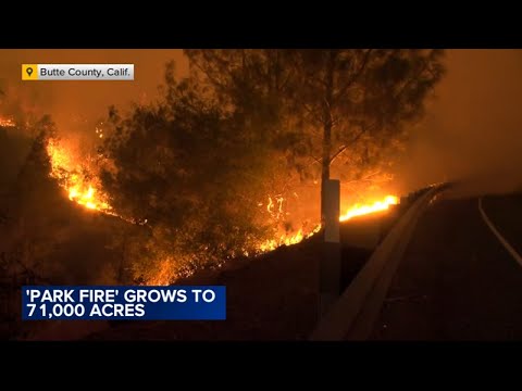 Man arrested in connection with California 'Park Fire' that has burned more than 120,000 acres