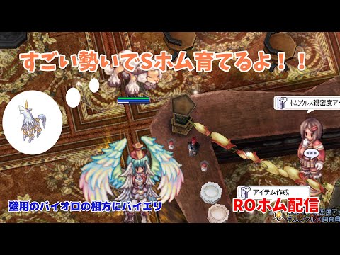 【RO】Sホムをすごい勢いで育てるよ！