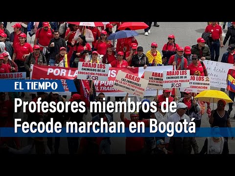 Profesores afiliados a Fecode marchan contra la ley estatutaria de Educación en Bogotá