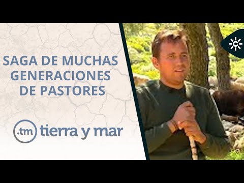 Tierra y mar | Los pastores reivindican el valor de sus rebaños como arma para prevenir incendios