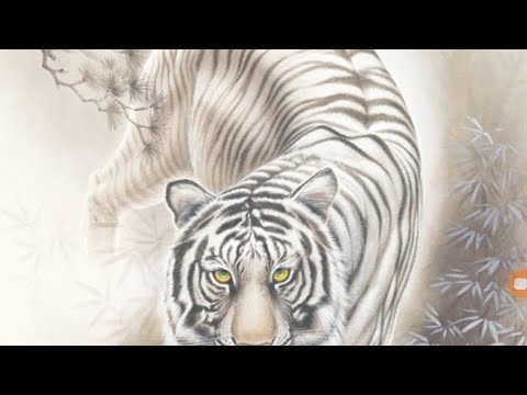 【放置少女ねここ趙公明】戦姫無双の対戦動画２５３(*｀･ω･)ゞ　(本日は白虎マークで挑みましたm(_ _)m)　@user-gx9ej9gh8y