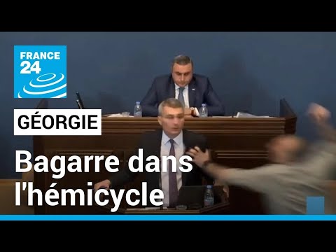 Géorgie : Un projet de loi controversé sur les agents de l'étranger • FRANCE 24