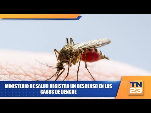 Ministerio de Salud registra un descenso en los casos de dengue
