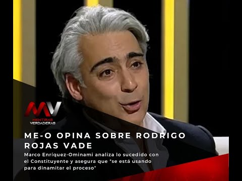 ME-O y continuidad de Rojas Vade en la Convención: Al igual que Piñera, debería irse por mentir