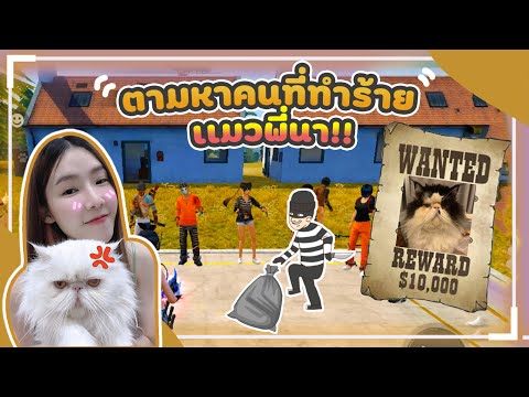 FREE-FIRE-ตามล่าหาคนฆ่าแมวพี่น FREE-FIRE-ตามล่าหาคนฆ่าแมวพี่น