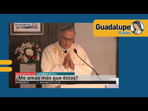 Evangelio de hoy 17/mayo/2024