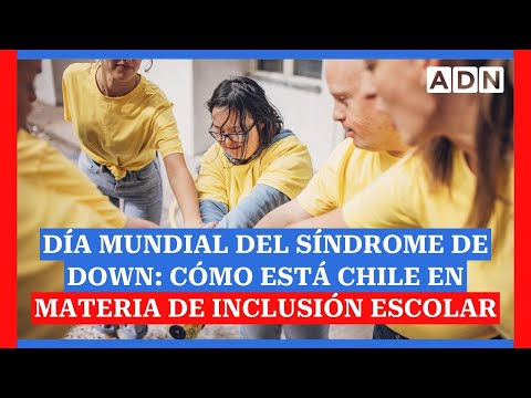 Día Mundial del Síndrome de Down: cómo está Chile en materia de inclusión escolar