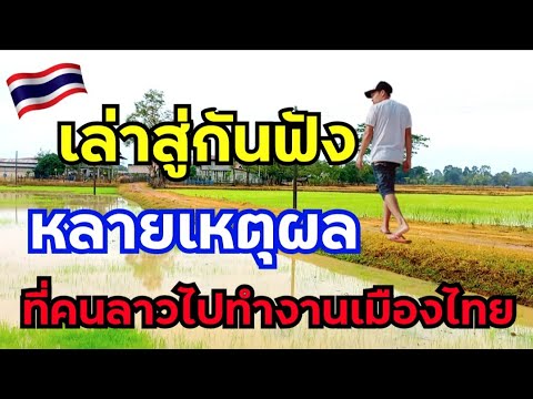 EP.256🇹🇭หลายเหตุผลที่คนลาวไปทำ