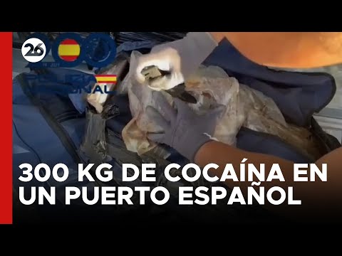 Incautan 300 kg de cocaína en un contenedor en puerto español