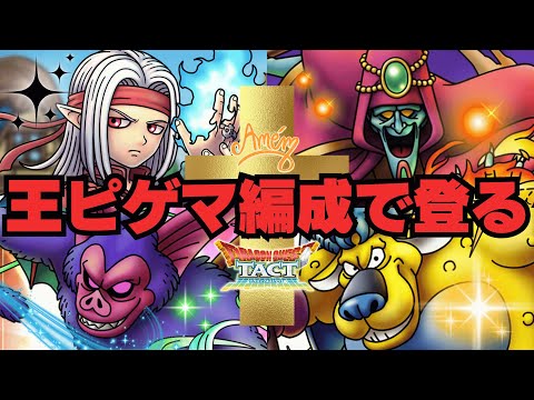 【ドラクエタクト】エクソシスト生活３日目！今日は二悪魔を使役して悪魔狩りします！【DQT】