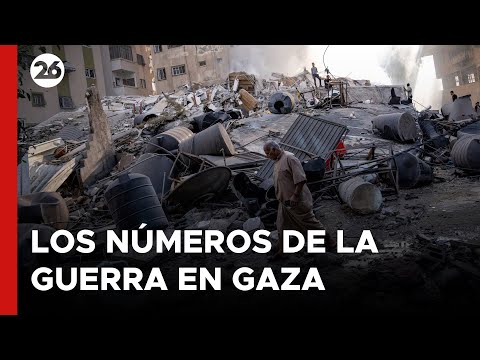 GAZA: Aumentan a más de 41.220 los muertos y a cerca de 95.400 los heridos por la ofensiva de Israel