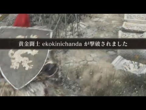 【ekokinichanda】少し不利になっただけで共闘で放置するのはやめてください　おもしろ　Ver. 1.14.1【エルデンリングDLC対人ELDEN RINGPVP】