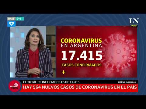 Coronavirus en la Argentina: confirman 17 muertos y 564 nuevos casos en las últimas 24 horas