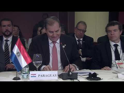 Palabras del ministro de Relaciones Exteriores de Paraguay, Julio César Arriola