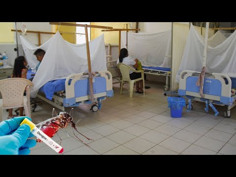 Dengue en Piura: No hay lugar para más pacientes en los hospitales por los más de 25 mil casos