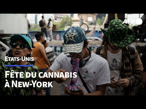 Les New-Yorkais célèbrent le 4/20, la journée du cannabis | AFP