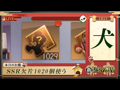 【新信長の野望】SSR欠片を1000個使用する犬 #15
