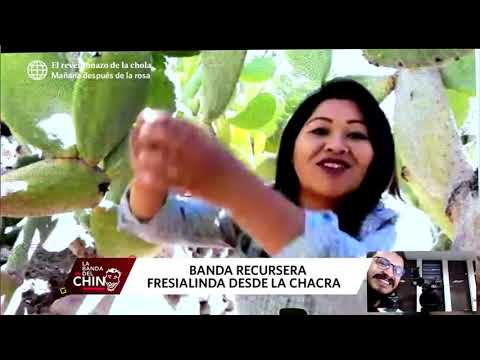 La Banda del Chino: 'Fresialinda' continúa trabajando durante la cuarentena desde su chacra (HOY)
