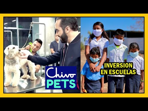 Hospital veterinario Chivo Pets esta listo | Intervención de escuelas olvidadas