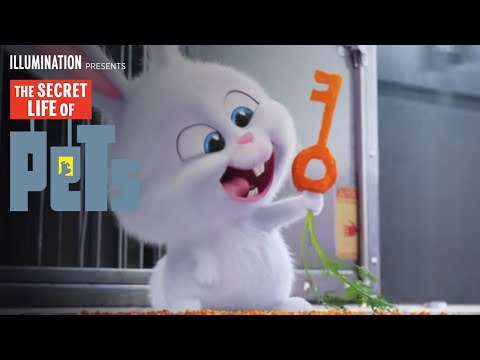 The Secret Life Of Pets Watch Online Stream Full Movie Hd