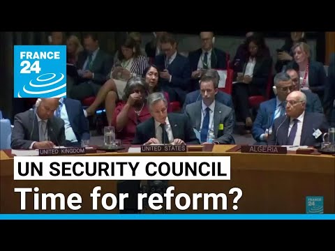 As UN chief calls for unity, is Security Council still fit for purpose? • FRANCE 24 English