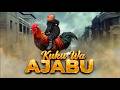 KUKU WA AJABU 40