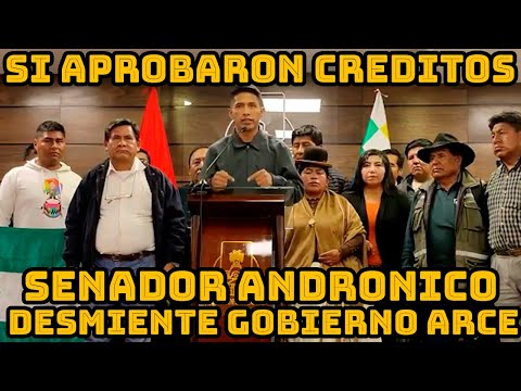 SENADOR ANDRONICO RODRIGUEZ SENADO APROBO CREDITOS PARA CONSTRUIR OBRAS EN BOLIVIA..
