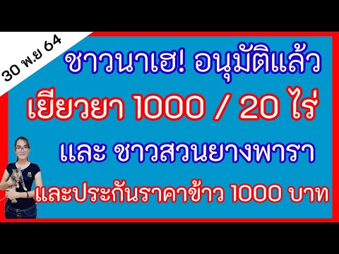 ด่วน‼️อนัมัติเยียวยาชาวนา​ไร