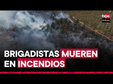 México: cuatro muertos tras incendios forestales que afectan a 19 estados
