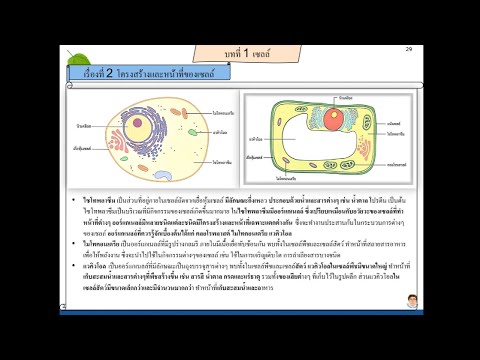 วิทยาศาสตร์ม.1-2567-หน่วยที