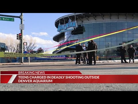 2 teens facing charges in death of man outside of Downtown Aquarium