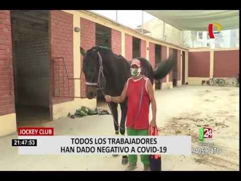 Hipódromo de Monterrico: carreras de caballos serían reiniciadas sin presencia de público