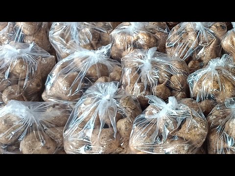 มันแกวหวานๆ🥔🥔🥔ขอบพระคุณแม่เจเจ